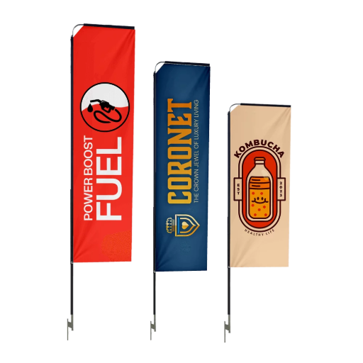 image_2025-02-26_112528217